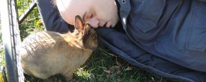Un lapin vient saluer une personne aveugle allongée dans l'herbe